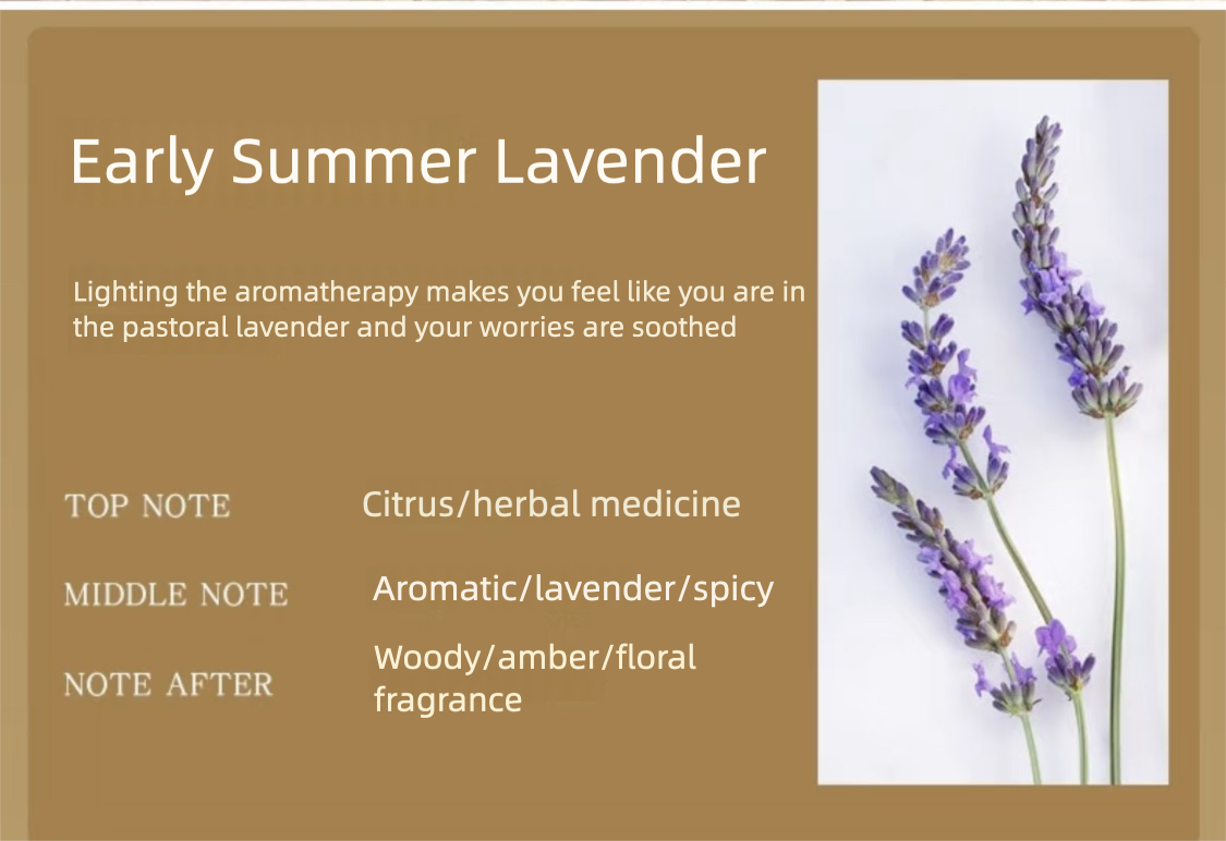Natural Coconut Shell Lavender Scented Candle - Relaxing Aromatherapy Gift for Home, Spa & Meditation (Early Summer Lavender Fragrance)
